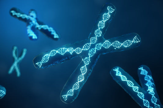 Epigenetik einfach erklärt: Deine Gene – dein Auto, dein Lebensstil, wie du es fährst
