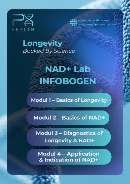 NAD+ Lab (6h)
