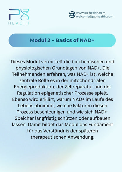 NAD+ Lab (6h)