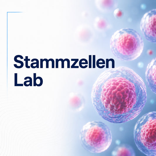 Stammzellen Lab (6h)