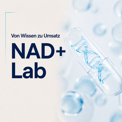 NAD+ Lab (6h)