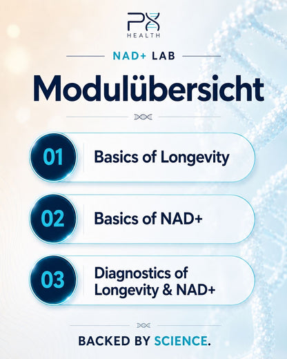 NAD+ Lab (6h)